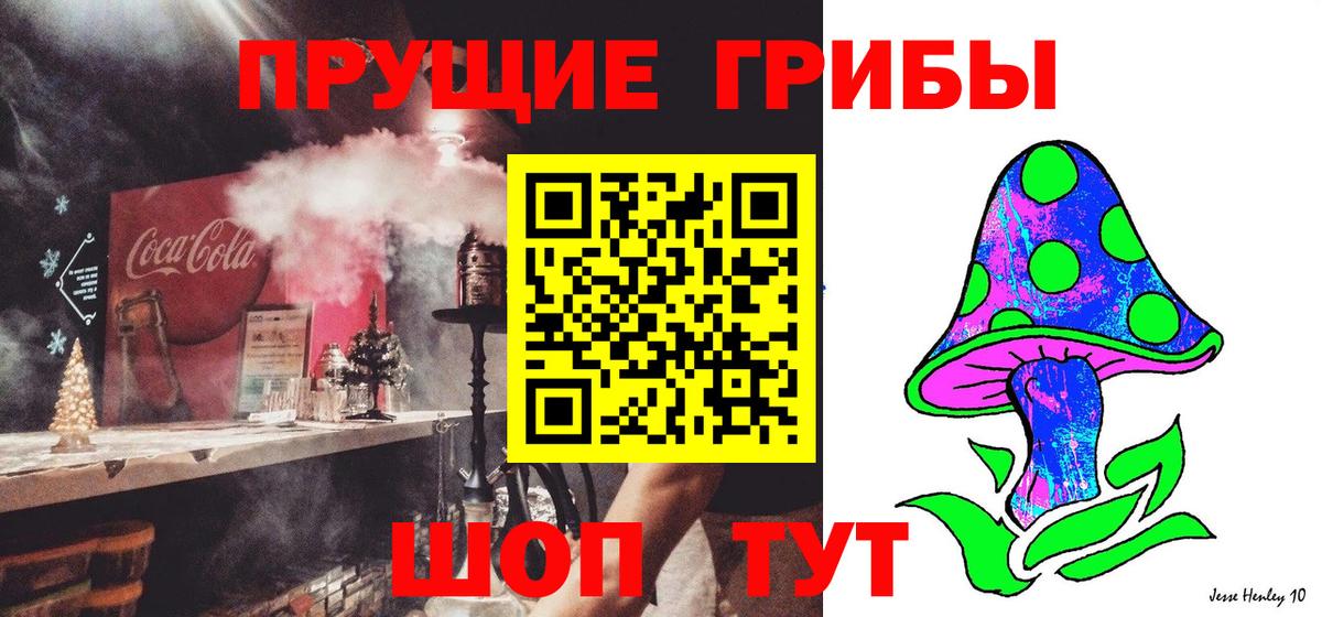 Волоколамск  Псилоцибиновые грибы мицелий  Вход с VPN  Галлюциногенные грибы Psilocybe 